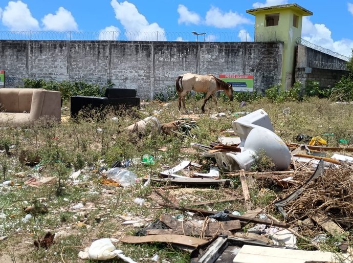 MPAL vistoria terreno e constata lixo, entulho de obras, cães, cavalos, espaços ocupados e risco de proliferação de vetores