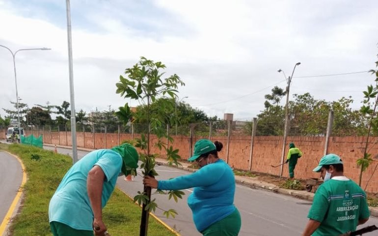Nova avenida ganha mais de 200 mudas de árvores