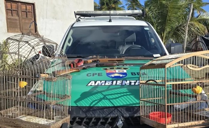 Espingardas artesanais e aves silvestres são apreendidas em Piaçabuçu Espingardas artesanais e aves silvestres são apreendidas em Piaçabuçu