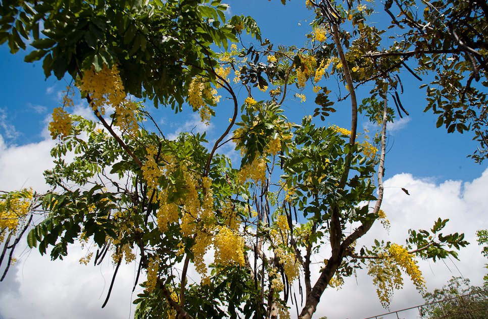 9457e7d0f042443539d827f6026d5c6a.jpeg / Foto: Marcos Rodrigues/Sedurbs