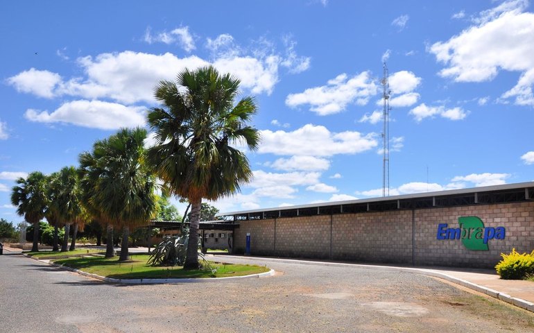 Aplicativo gratuito da Embrapa ajuda a planejar barragens no semiárido