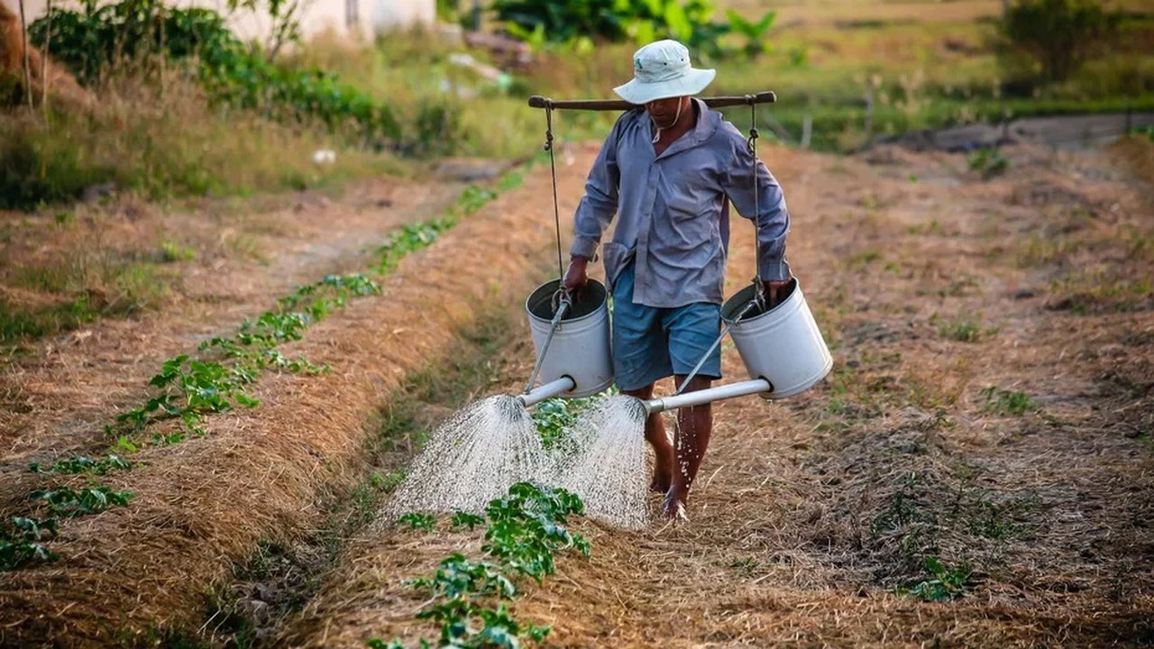 Índice CPI do Reino Unido atinge 11,1% em outubro, maior nível em 41 anos
