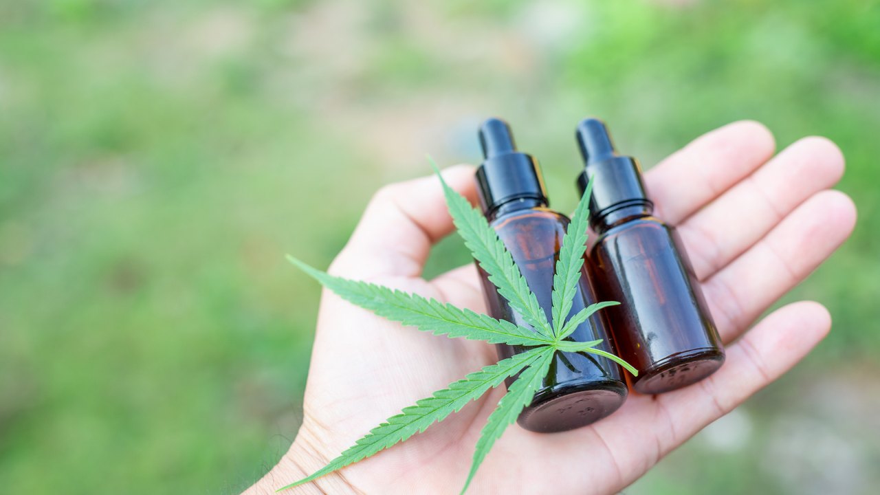 Justiça garante cultivo de maconha para fins medicinais