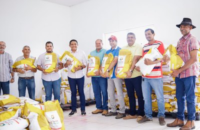 Programas Terra Arada e Planta Palmeira estão em ritmo acelerado