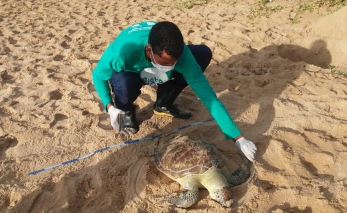 Foto: Heliana Gonçalves