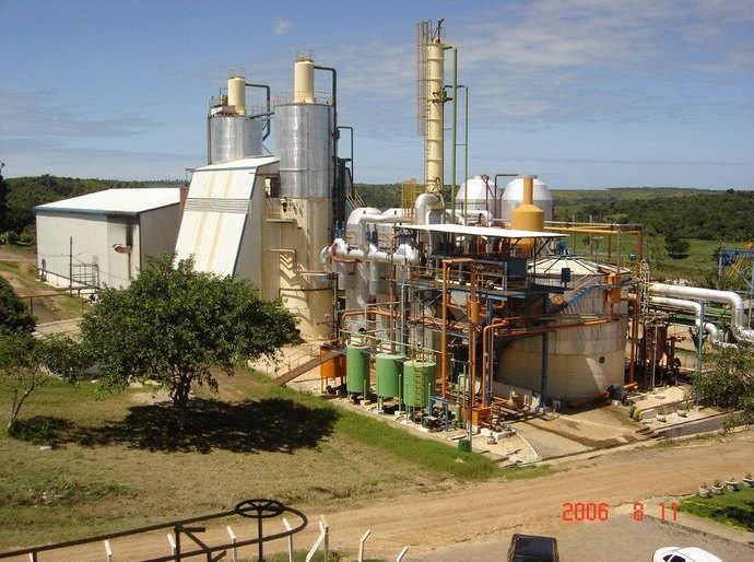 Pindorama planeja plantio de cana com técnica de  redução de sementes