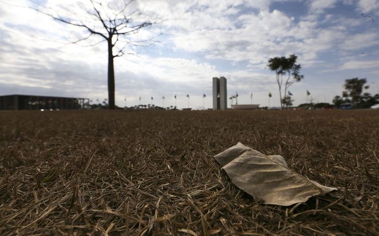 Oito estados e DF têm alerta de grande perigo para baixa umidade