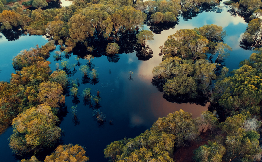 Revista Times destaca Pantanal entre os 50 melhores lugares do mundo em 2023