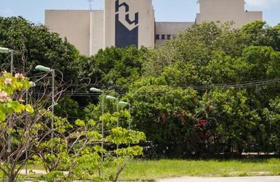 HUPAA realiza ação educativa pelo Dia Nacional da Visibilidade