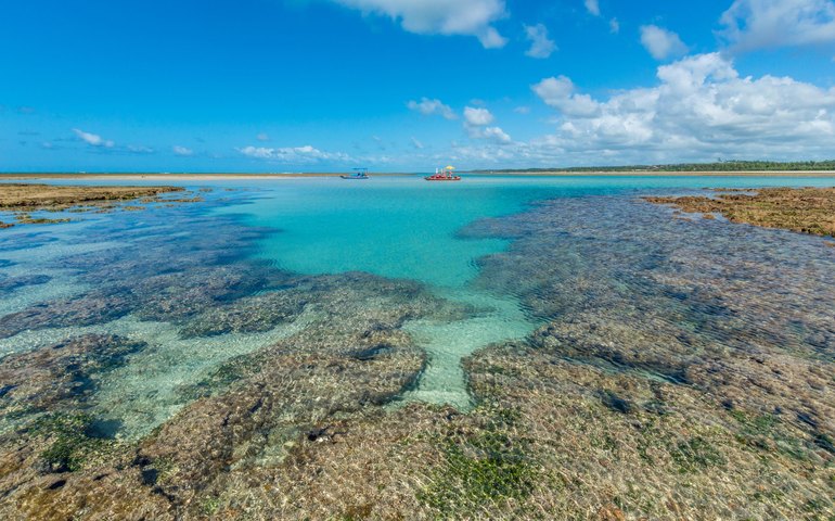 Praia de Alagoas é eleita uma das 100 melhores do mundo