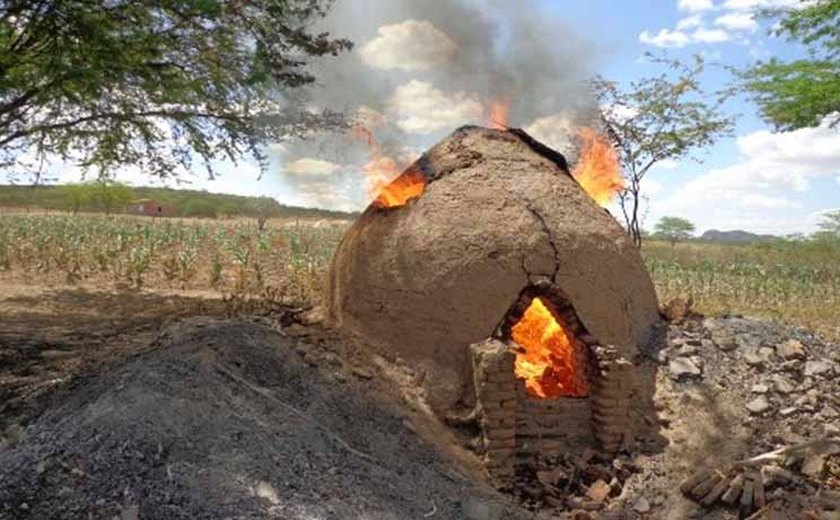 Carvoarias são autuadas por crime ambiental no Sertão de Alagoas