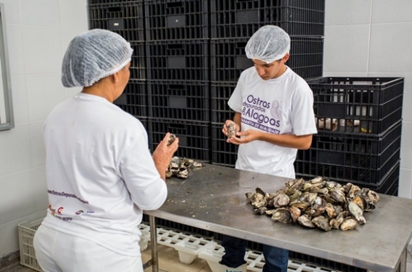 Litoral Sul se prepara para receber Festival Gastronômico da Ostra