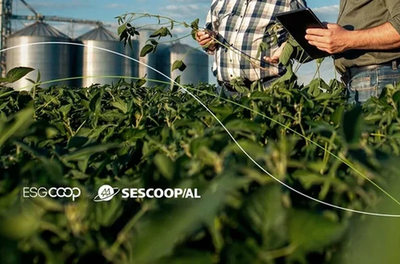 Evento sobre eficiência energética e agropecuária fortalece cooperativas de AL