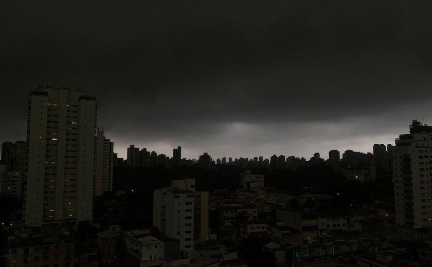 Temporal em SP derruba árvores e deixa moradores sem luz