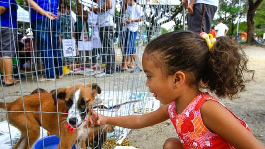 Lazer na Praça: edição especial teve feira para adoção de animais