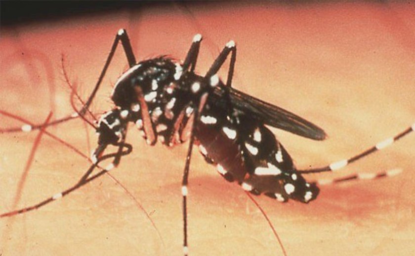 Saúde promove ação de prevenção contra Dengue, Zika e Chikungunya
