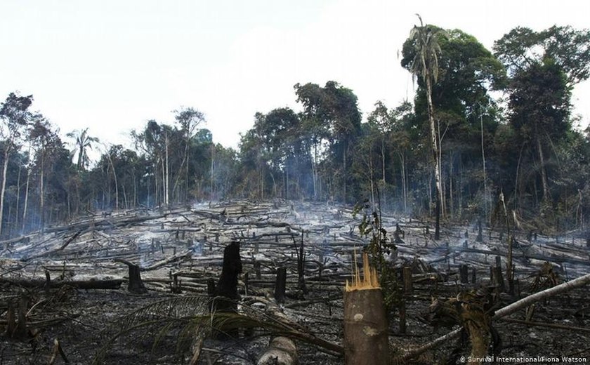 O sofrimento da Amazônia vai continuar em 2020?