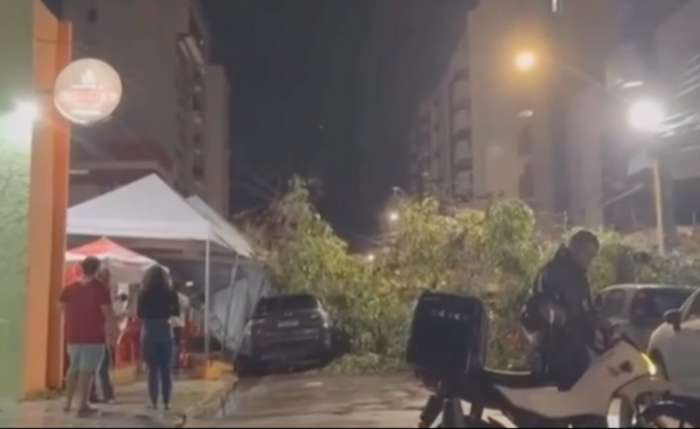 Veículos estacionados sofreram danos, mas não havia ocupantes no momento da ﻿queda.