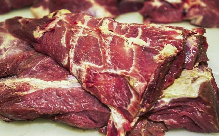 Rússia retira embargo à importação de carne bovina brasileira