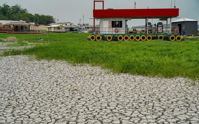 Amazonas enfrenta seca extrema pelo segundo ano consecutivo