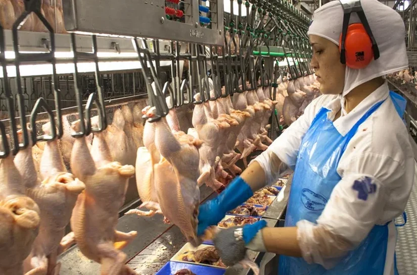 Gripe aviária: 17 países retiram restrições de exportação à carne de aves brasileira