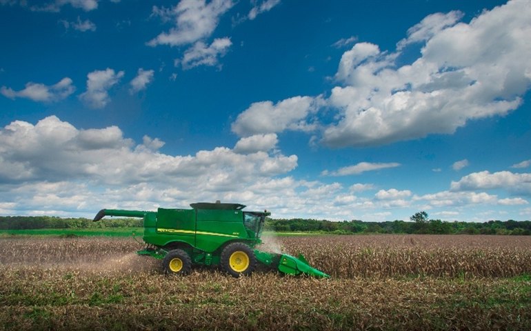 Safra 2024 terá produção maior de algodão, feijão, arroz e trigo, prevê IBGE