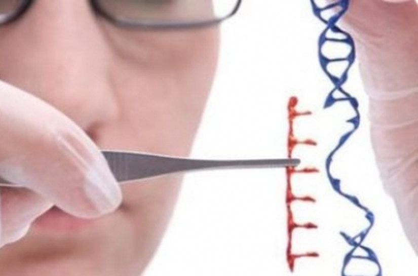 Estado lança edital para financiar pesquisas em saúde nesta terça (31)