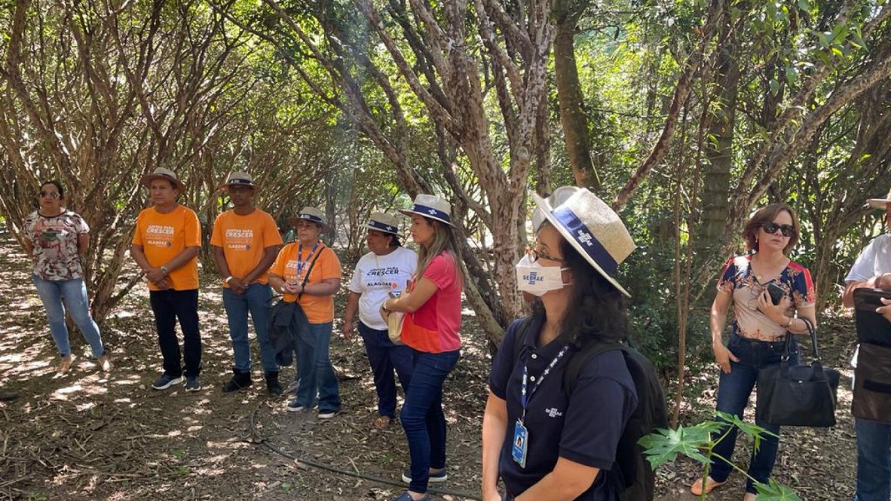 Produtores do Alagoas Maior participam de experiências de turismo rural em Goiás