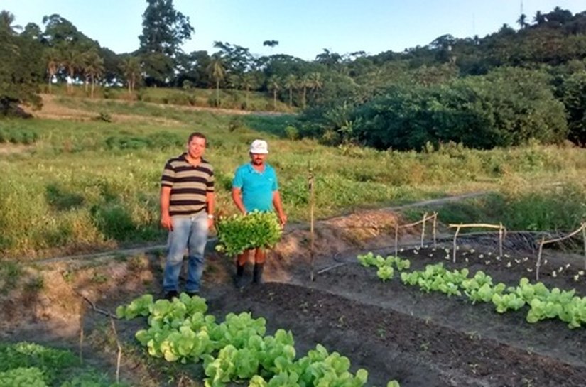 Agricultura e Meio ambiente de São Miguel distribui alevinos e hortaliças