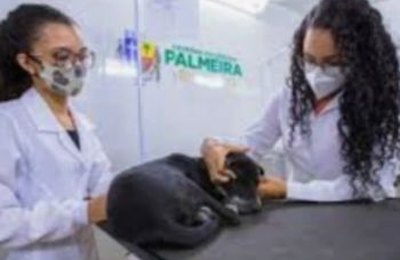 Programa Pet Amigo atenderá no Povoado Gavião nesta quarta (28) e quinta (29), em Palmeira