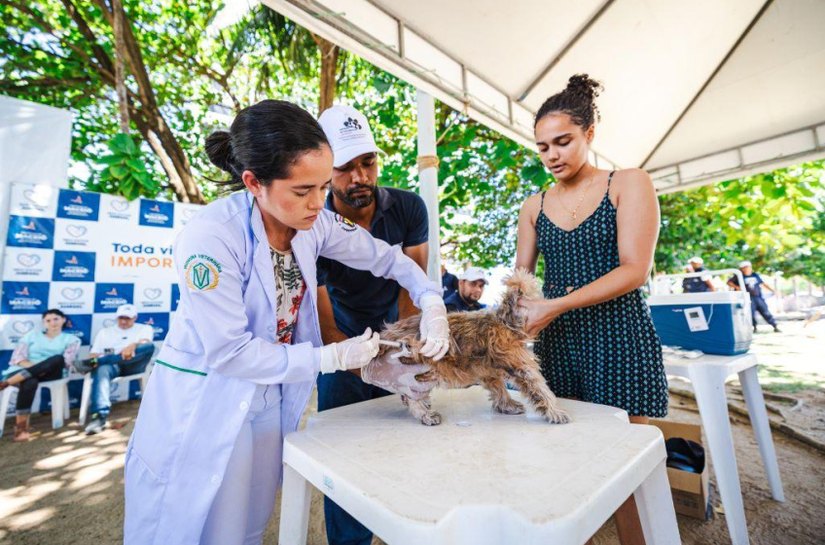 Em Maceió, mais de três mil animais foram vacinados contra a raiva neste fim de semana
