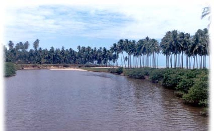 Rio Salgado, que deságua em Maragogi Rio Salgado, que deságua em Maragogi