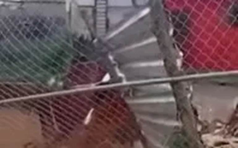 Dezenas de mortos ou desaparecidos em deslizamentos de terra e enchentes no Brasil