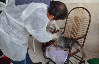 Profissionais do Nasf têm trabalho selecionado para premiação nacional