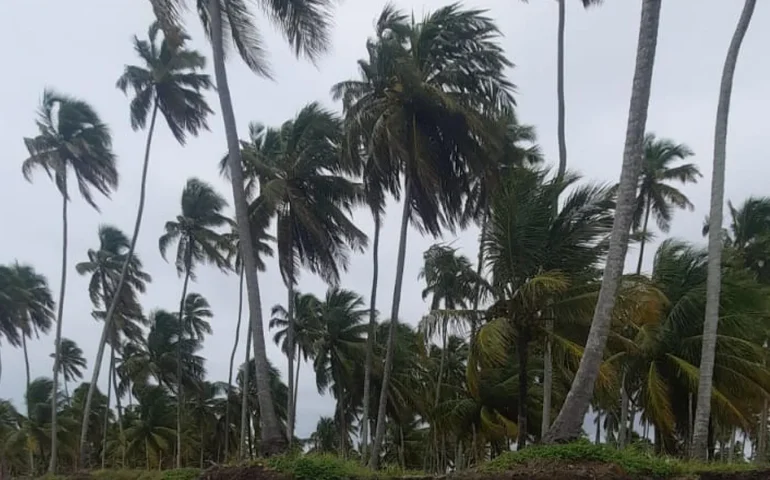 Alagoas registra alerta de ventos acima de 50 km/h válido até quarta-feira