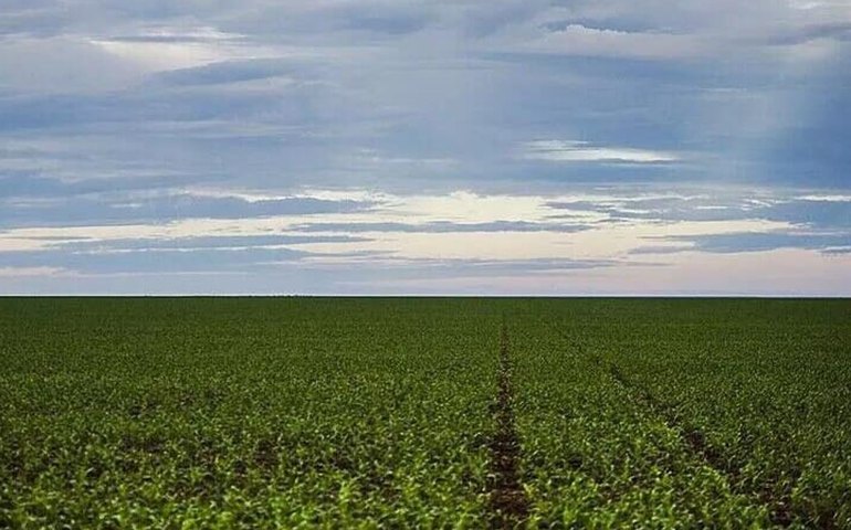 Um conflito no Oriente Médio teria impacto direto no Brasil com alta de fertilizantes, diz estudo