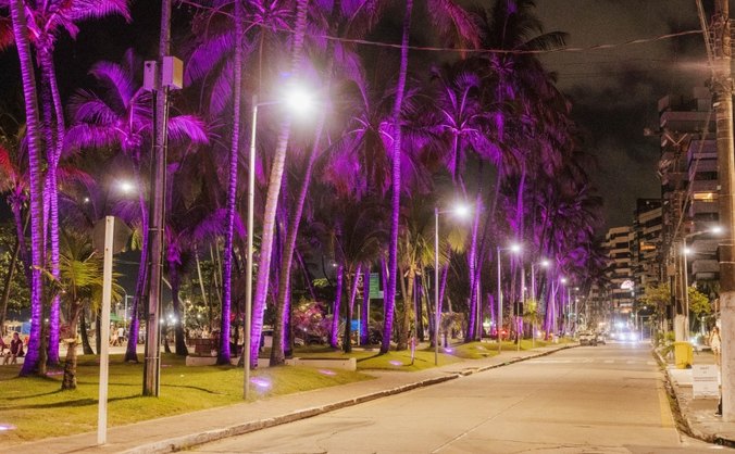 Cor lilás chama atenção para combate à violência contra mulher