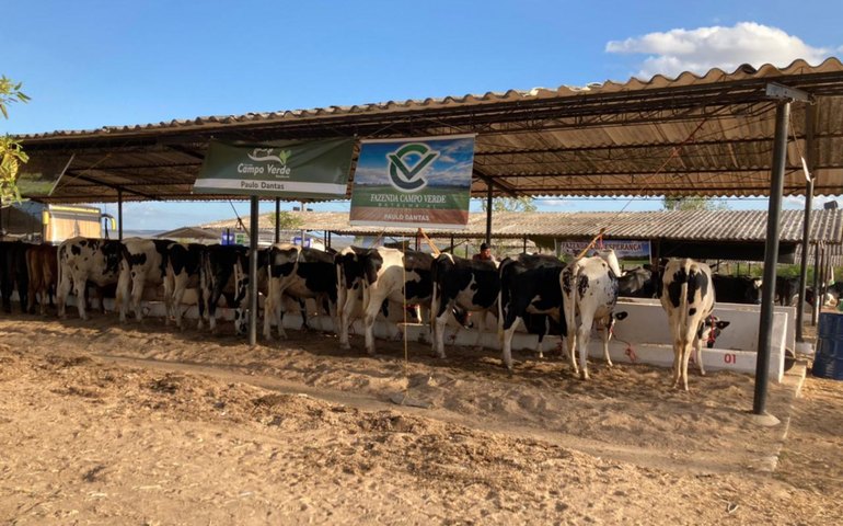 38ª Expo Bacia Leiteira já supera expectativas do setor