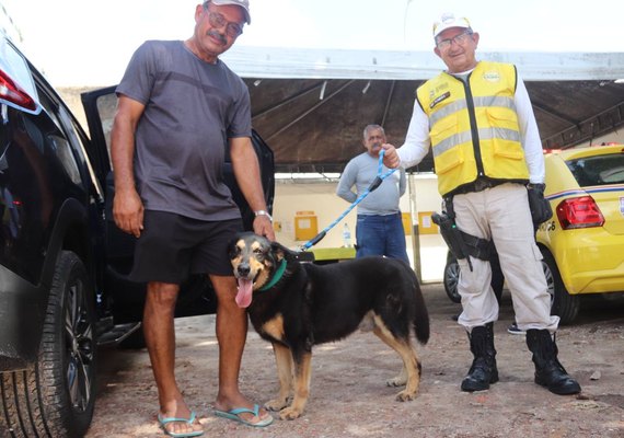 Ronda localiza e devolve em segurança cão que fugiu de casa em Mangabeiras