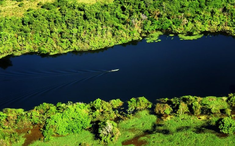 Cúpula da Amazônia pode ter meta comum para eliminar o desmatamento ilegal