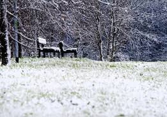 Isolados pela neve há mais de um mês, caseiro e seus 13 cães são resgatados com ajuda de blindados na Argentina