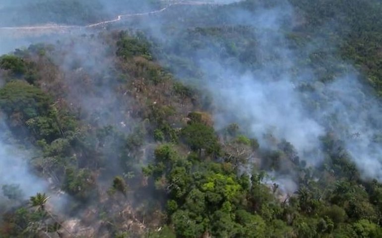 Governo demorou a agir contra desmatamento