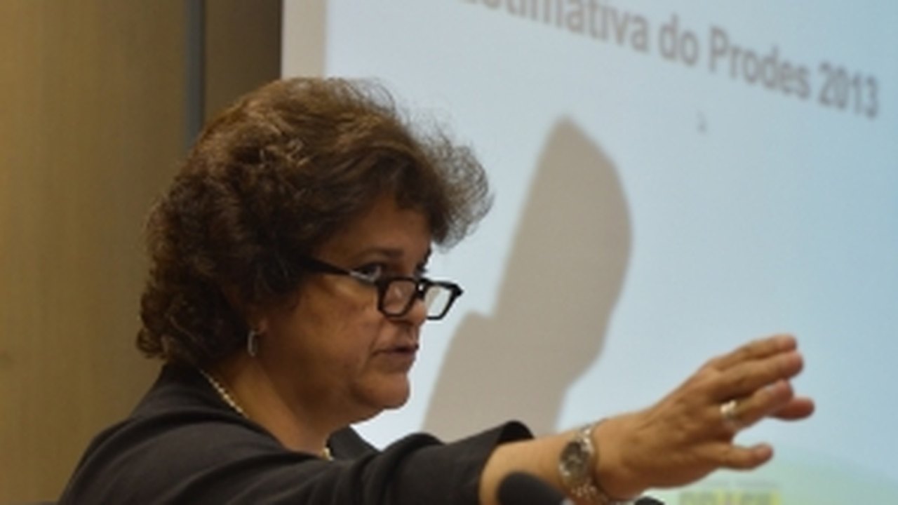 Desmatamento na Amazônia aumenta 28%