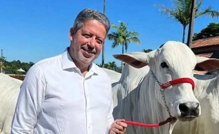 Arthur Lira durante leilão realizado em São Sebastião Arthur Lira durante leilão realizado em São Sebastião