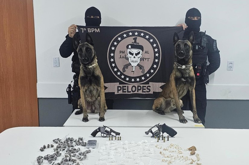 PM apreende armas de fogo e drogas no interior e recupera veículos roubados na capital