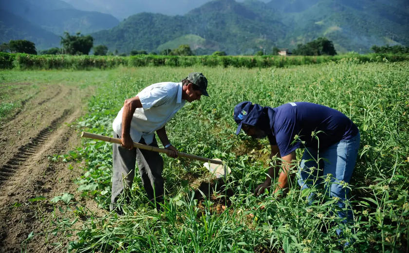 Agricultura familiar: Ministério lança programas de fomento em Mato Grosso