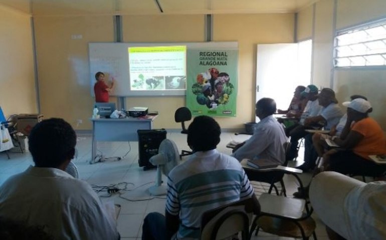 Agricultores familiares aprendem sobre produção agroecológica de frutas, em Murici