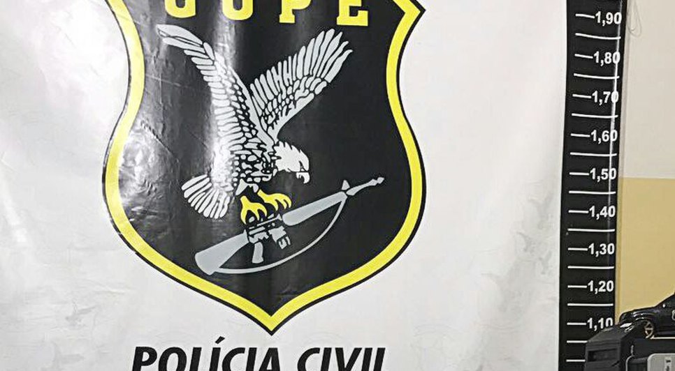 armas apreendidas ação pc 
