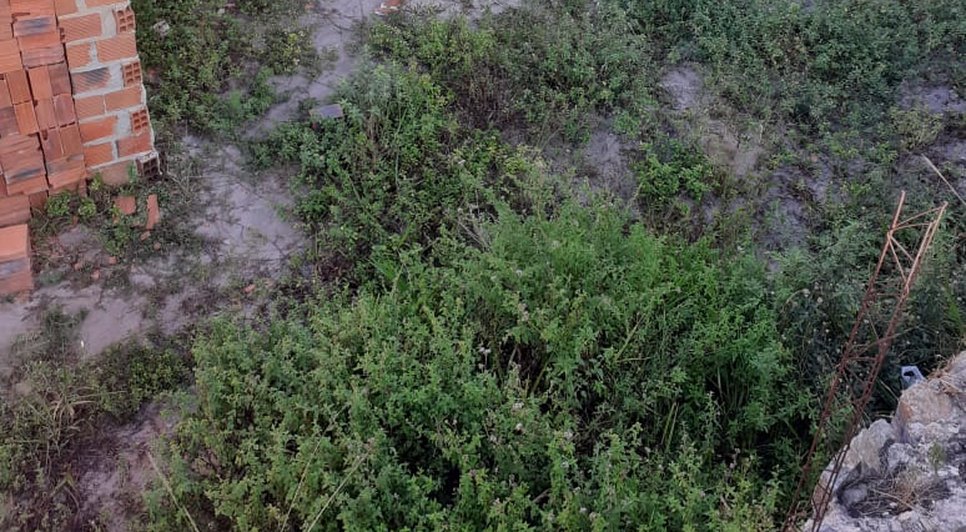 Corpo é encontrado em terreno de construção no município de Areia Branca / Foto: Foto: Reprodução/Redes Sociais