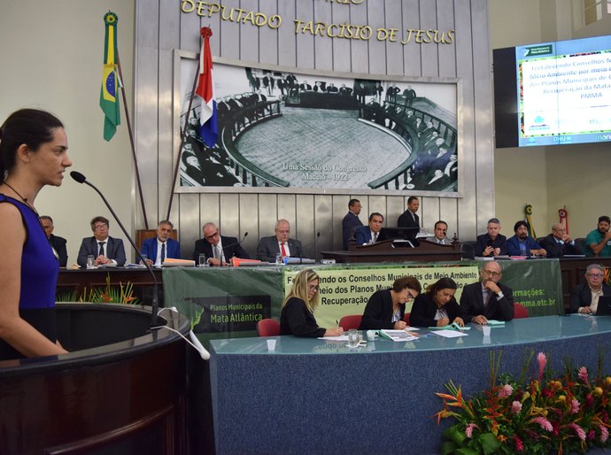 Audiência pública debate Orçamento da Criança e do Adolescente para 2019